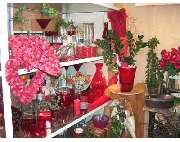 Blumenhaus & Gärtnerei Schäflein - GALLERY