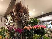 Blumenhaus Knagge - GALLERY