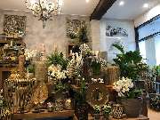 Blumenhaus Knagge - GALLERY