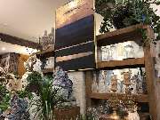 Blumenhaus Knagge - GALLERY