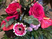 Blumenhaus Knagge - GALLERY