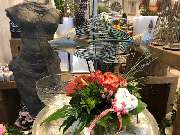 Blumenhaus Knagge - GALLERY