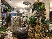 Blumenhaus Knagge - GALLERY