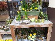 Blumenhaus Knagge - GALLERY