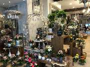 Blumenhaus Knagge - GALLERY