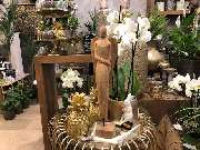 Blumenhaus Knagge - GALLERY