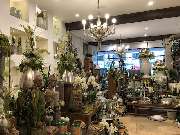 Blumenhaus Knagge - GALLERY