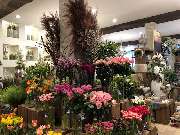 Blumenhaus Knagge - GALLERY