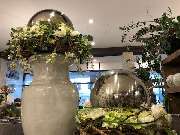 Blumenhaus Knagge - GALLERY