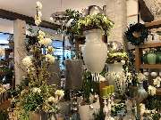 Blumenhaus Knagge - GALLERY