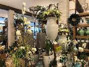 Blumenhaus Knagge - GALLERY