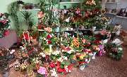 Blumenhaus Langer - GALLERY
