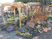Blumenhaus Schwahn - GALLERY