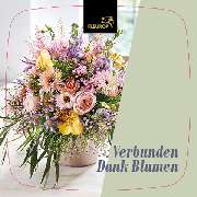 Blumenhaus Schwahn - GALLERY