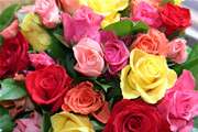 Blumenhaus Widmann - Blumen