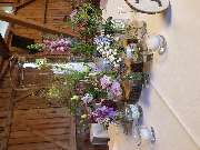 Blumenhaus Wilco - GALLERY