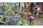 Blumenhaus Winter GbR - GALLERY
