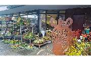 Blumenhaus Winter GbR - GALLERY