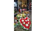Blumenhaus Winter GbR - GALLERY