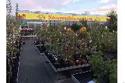 Blumenhaus Wosch - GALLERY