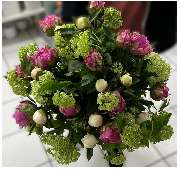 Blumeninsel Sudmeyer - GALLERY