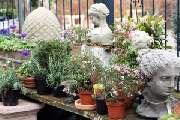 BLUMENKUNST Sibylla-Braukmann-Busche - GALLERY