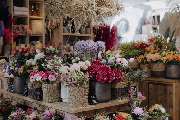 Blumenladen Rosenheim - Blumen Fritz - GALLERY