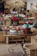 Blumenladen Rosenheim - Blumen Fritz - GALLERY