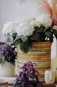 Blumenladen Rosenheim - Blumen Fritz - GALLERY
