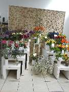 Blumenland Herdt - GALLERY