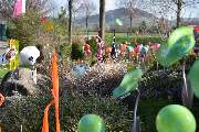 Blumenland Herdt - GALLERY