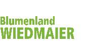 Blumenland Wiedmaier - GALLERY