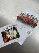 Blumenparadies und Biologischer Gartenbau Becher - GALLERY