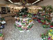 Blumenscheune - GALLERY