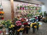 Blumenscheune - GALLERY