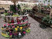 Blumenscheune - GALLERY