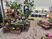 Blumenscheune - GALLERY