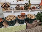 Blumenscheune - GALLERY