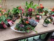 Blumenscheune - GALLERY