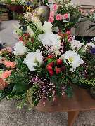 Blumenscheune - GALLERY