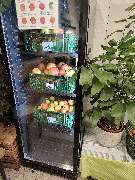 Blumenscheune - GALLERY