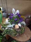 Blumenscheune - GALLERY