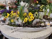 Blumenscheune - GALLERY