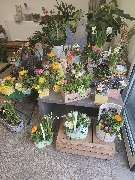 Blumenscheune - GALLERY