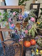 Blumenscheune - GALLERY