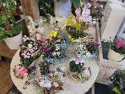 Blumenscheune - GALLERY