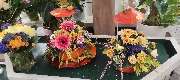 Blumenscheune - GALLERY
