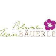 BlumenTeamBäuerle GbR - LOGO