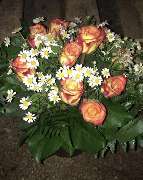 Blumenwunder - GALLERY