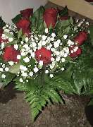 Blumenwunder - GALLERY